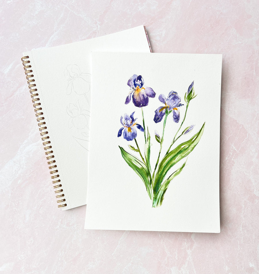 Saturday Floral Series: Iris & Peony Watercolor on June 8th, 2024, 11:30am - 1pm