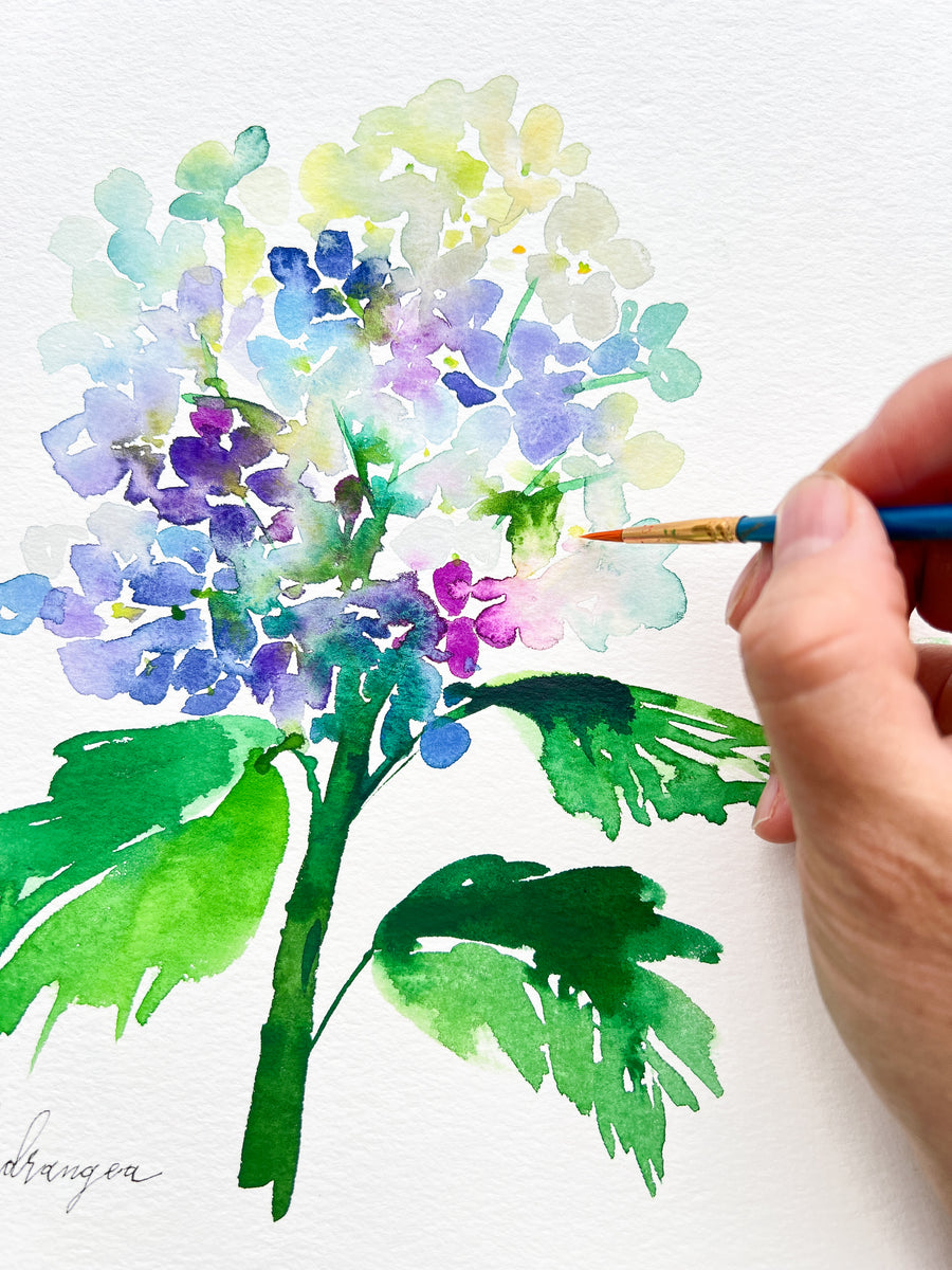 Hydrangeas Watercolor on Friday, April 26th, 2024, 11:30am - 1pm