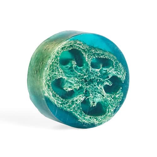 Morning Songbird Exfoliating Loofa Soap