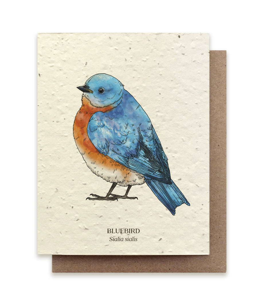 Bluebird Plantable Wildflower Card