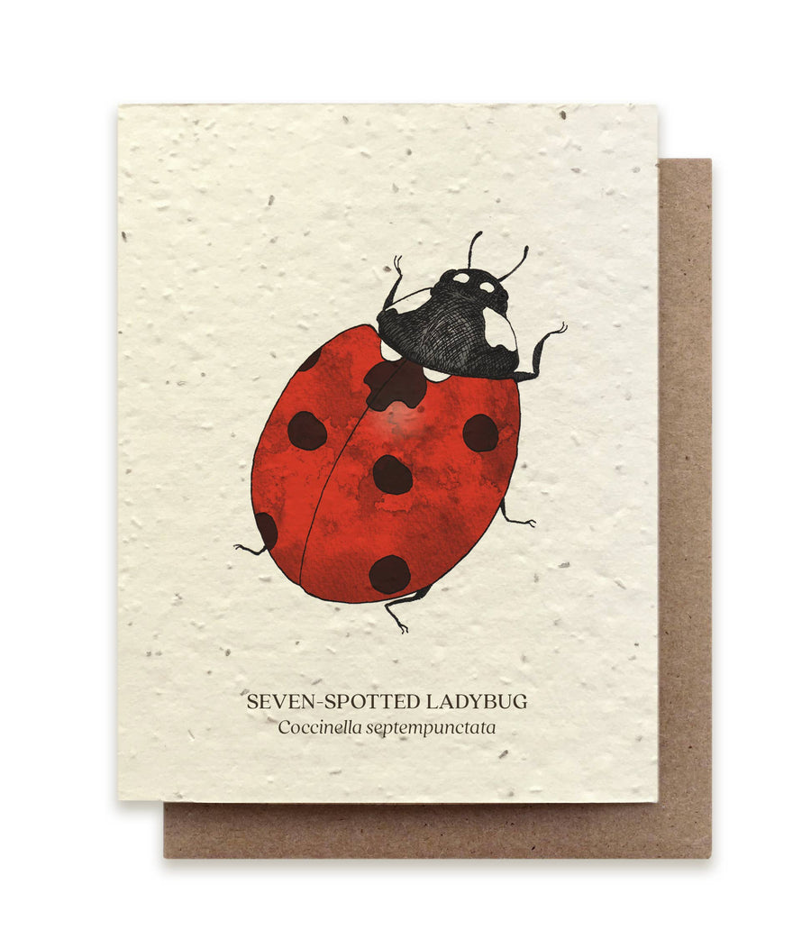 Seven-Spotted Ladybug Plantable Wildflower Card