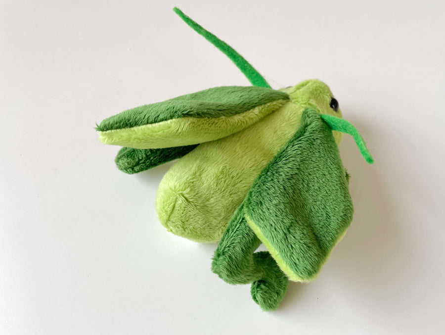 The Bug Squad - Grasshopper Plush
